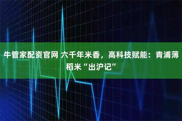牛管家配资官网 六千年米香，高科技赋能：青浦薄稻米“出沪记”
