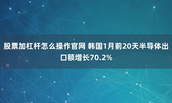 股票加杠杆怎么操作官网 韩国1月前20天半导体出口额增长70.2%